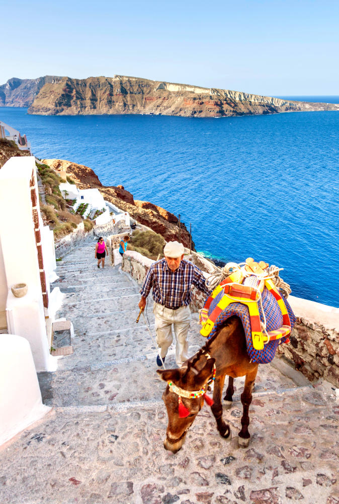 Tourist Donkey on steps to the village of Oia Santorini Thira Cyclades islands Aegean Sea Greece EU Europe