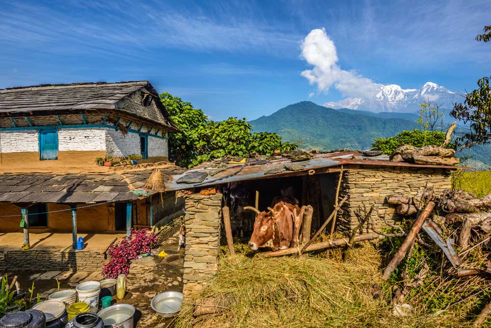 Farmhouse and a stall near Pokhara in Nepal