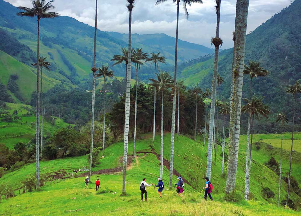 Valley in Colombia