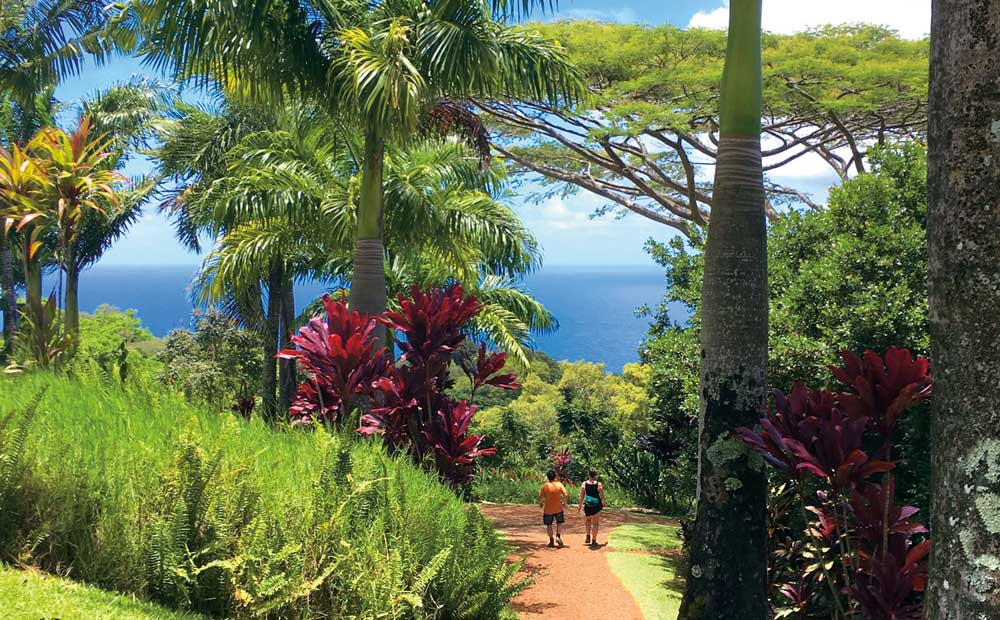 Maui
