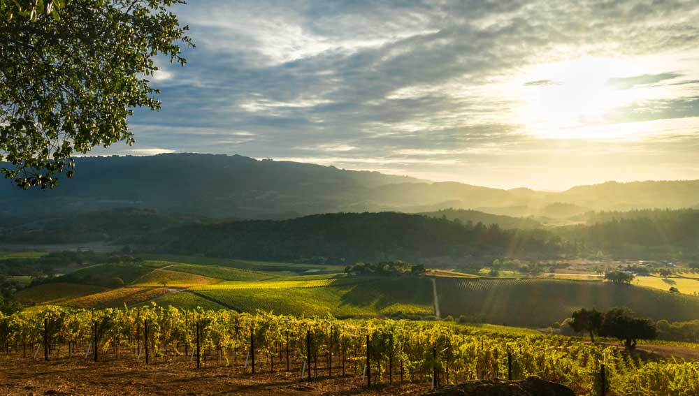 Napa Valley, California