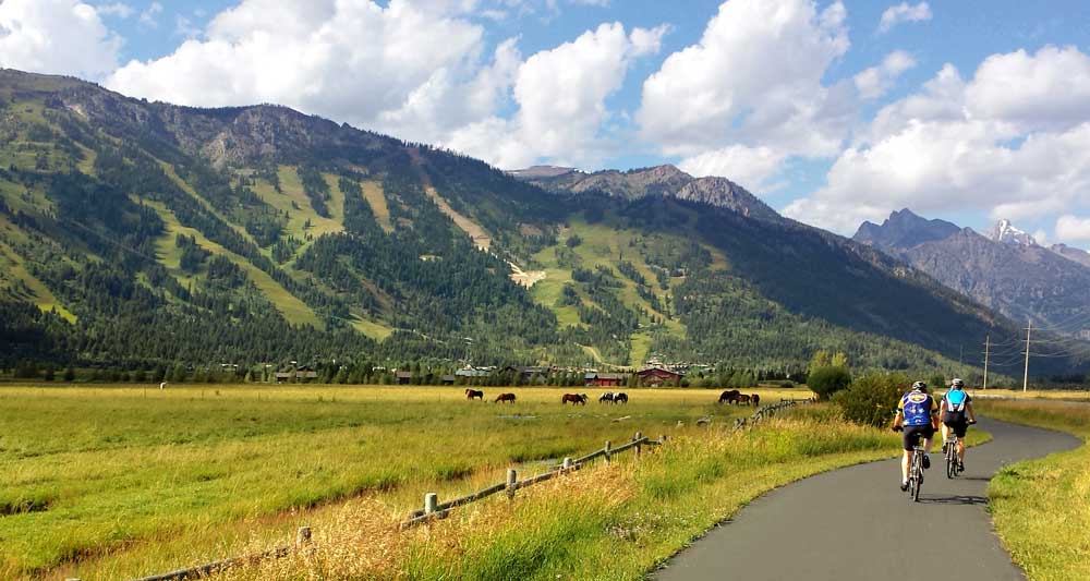 Biking past a meadow of Horses