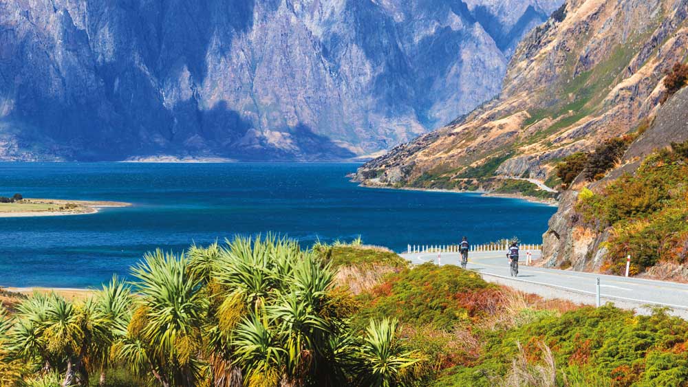 New Zealand Biking