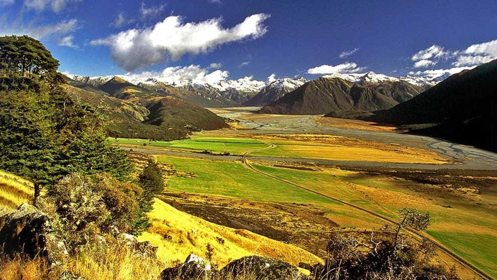 Sheep Farm Landscape