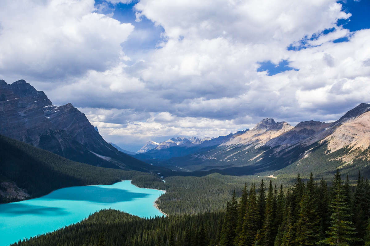 Canadian Rockies Lake Louise Lookout