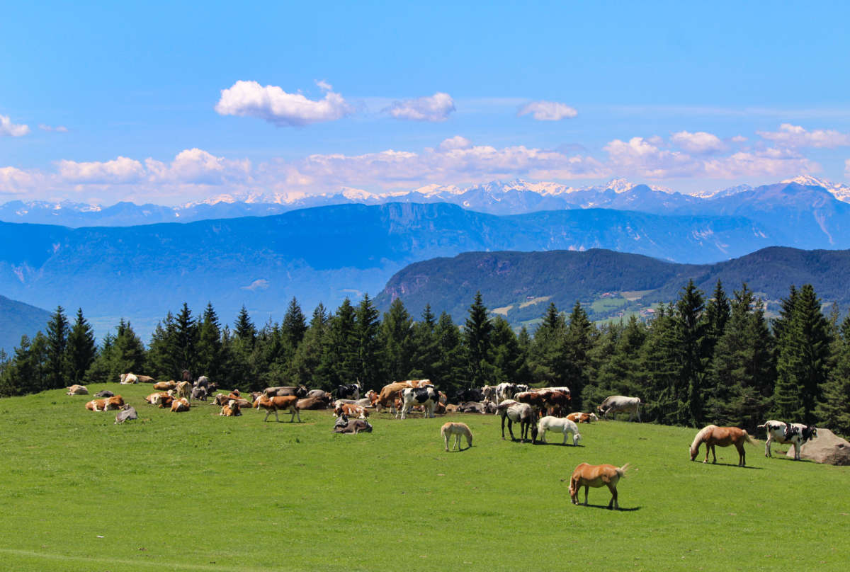 Dolomites