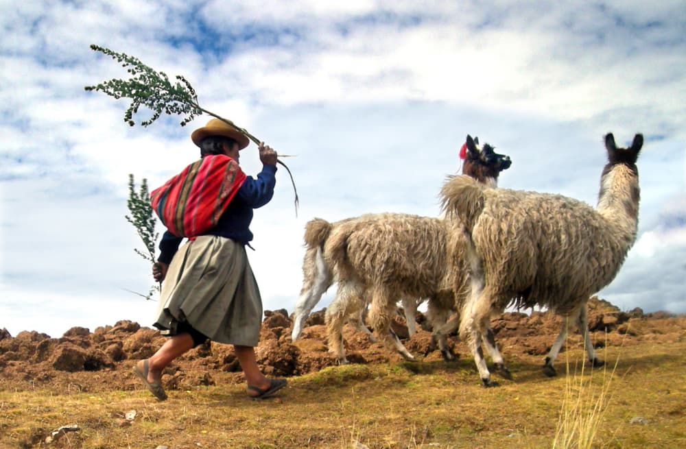 Peru Life