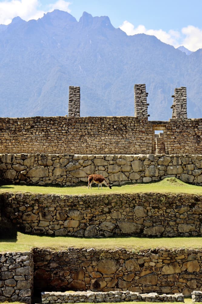 Machu Picchu