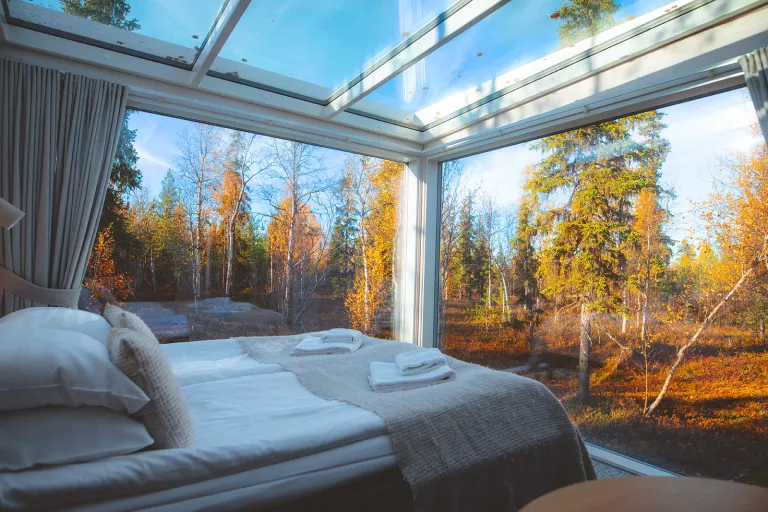 View of fall tree from inside hotel room