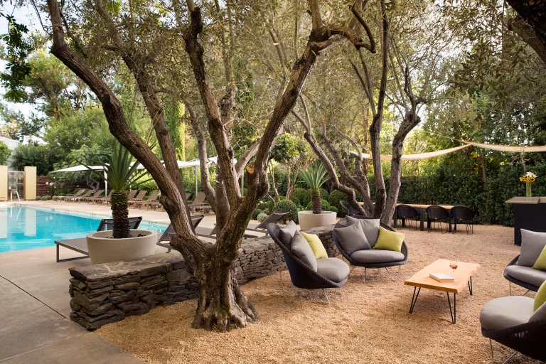 The grounds at Hotel Healdsburg