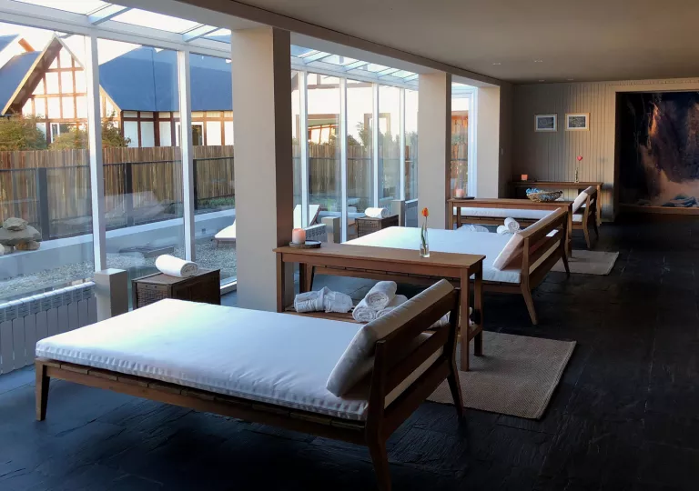 lounge chairs facing large windows