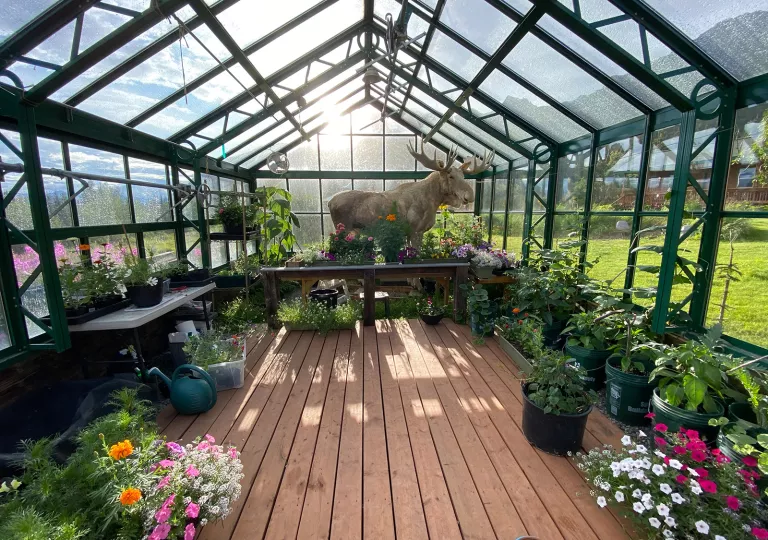 Greenhouse full of various plants and flowers, with a moose statue inside