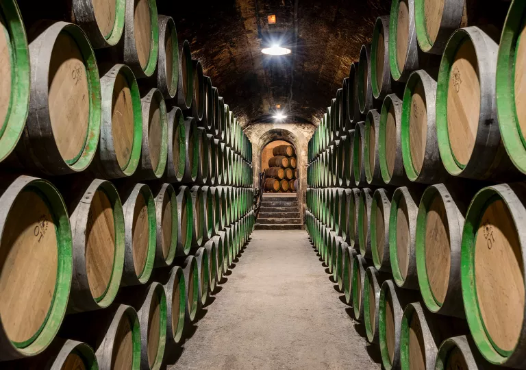 Cellar full of green barrels and a long hallway