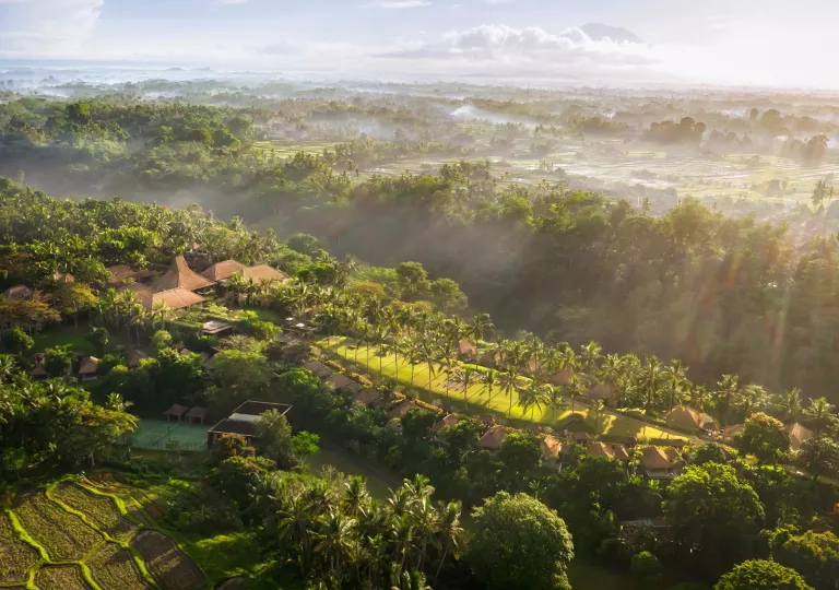 Large forest surrounded by fog and sunlight