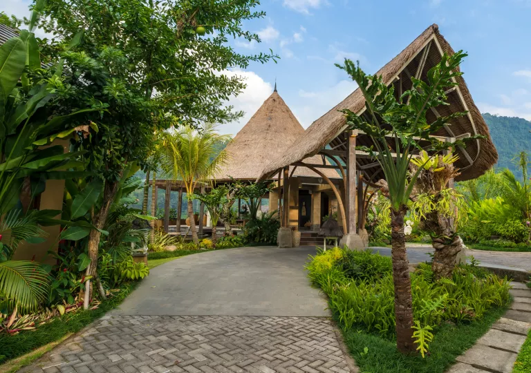 cottage with thatched roof nestled in the trees