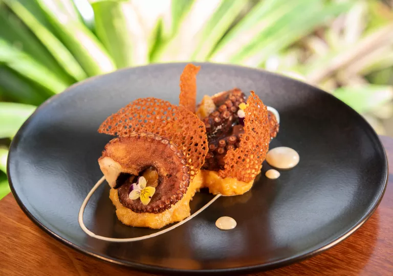 Black plate with a fancy arrangement of grilled octopus and rice