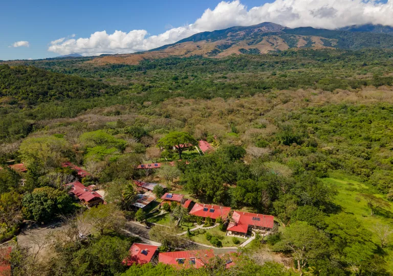 Rectangular buildings with red roofs in the middle of a valley of large trees