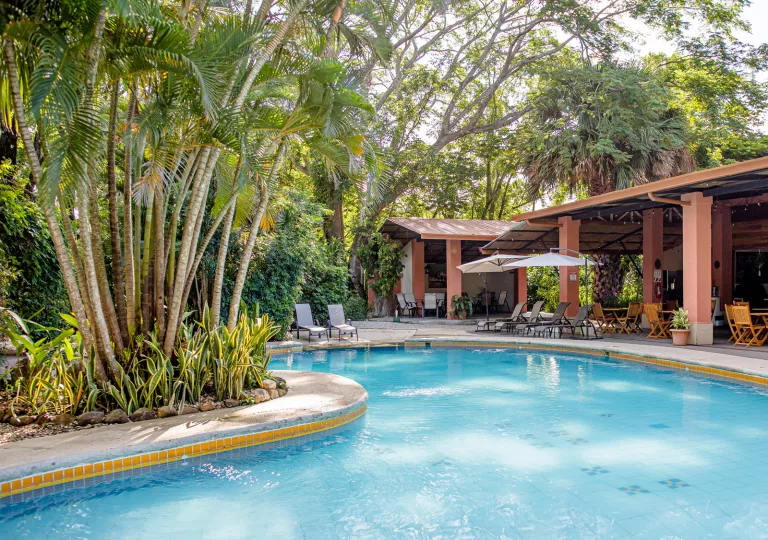 Outdoor pool surrounded by tall trees and a brown building
