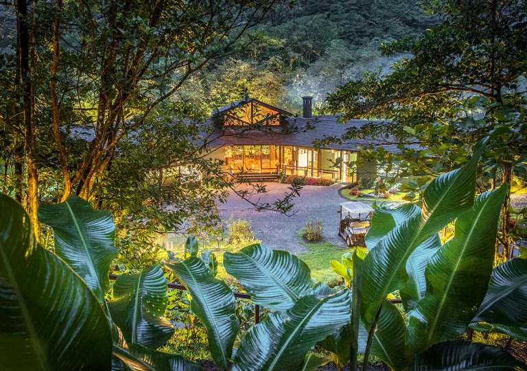 Outdoor view of hotel with indoor lights on, surrounded by plants