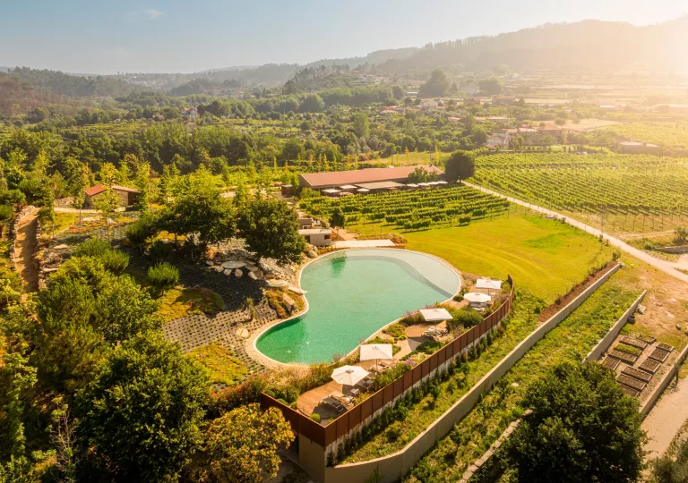 Top view of an outdoor open pool, surrounded by crops and trees