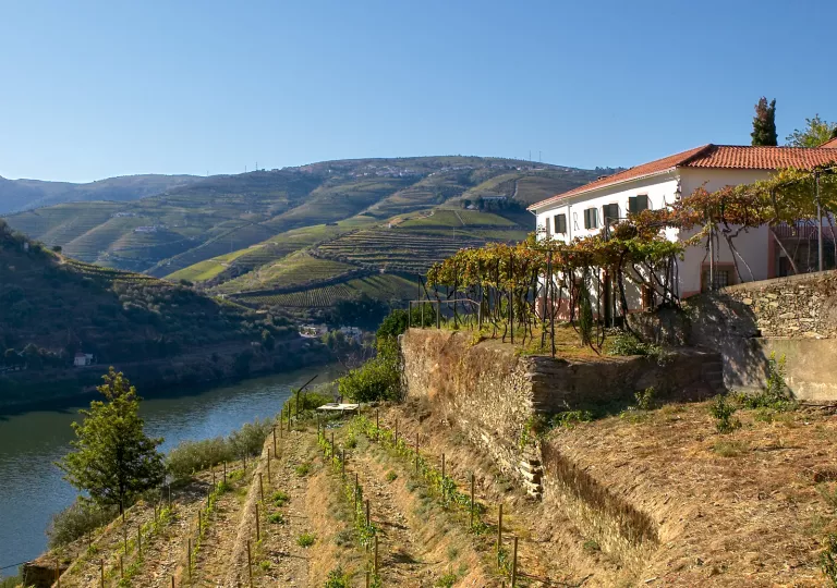 Building overlooking a river on a hill
