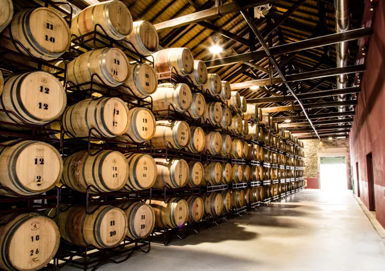 Wine cellar full of barrels stamped with numbers