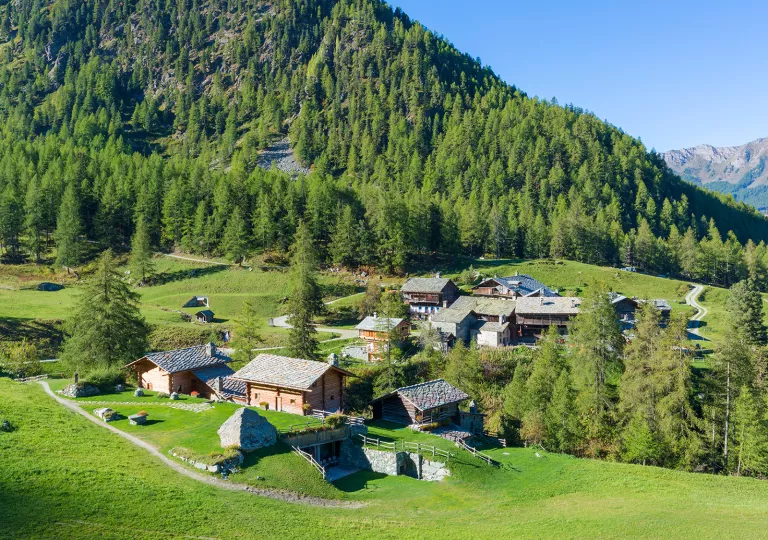 Top view of a small town with a mountain of trees behind
