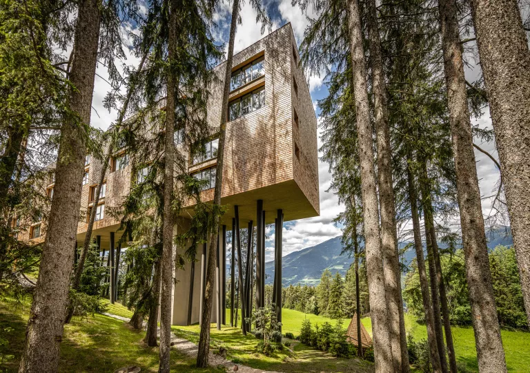 Suspended building in the middle of a grassy valley, surrounded by tall trees