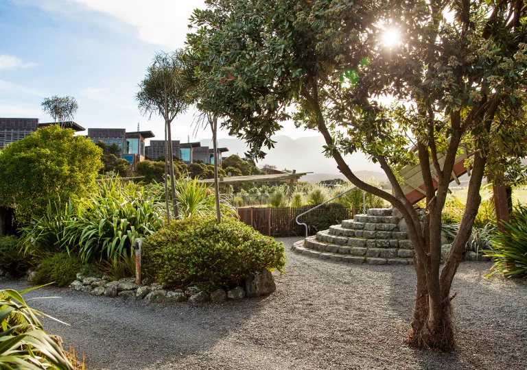 Small gravel pathway with large plants and stone stairways