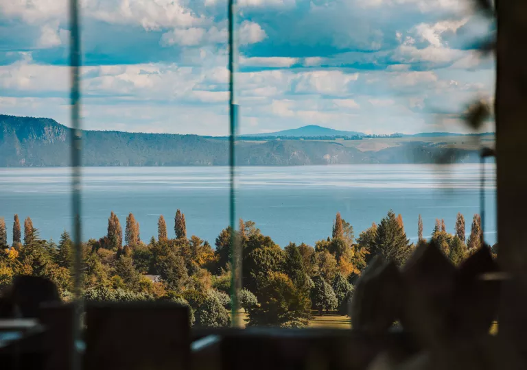 windows overlooking forest and lake