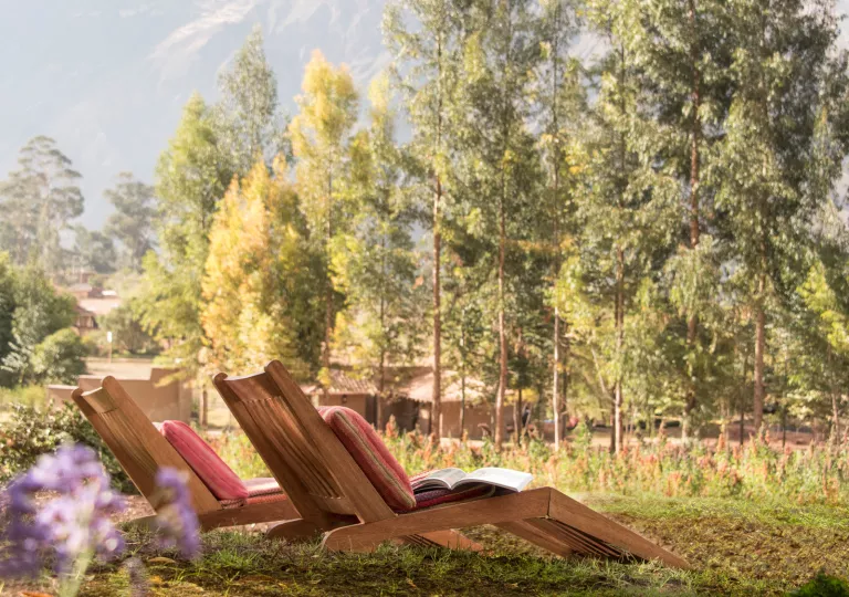 two chaise lounges in the sun