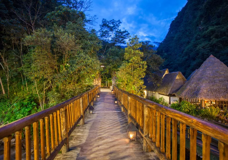 wood walkway with railing into the trees