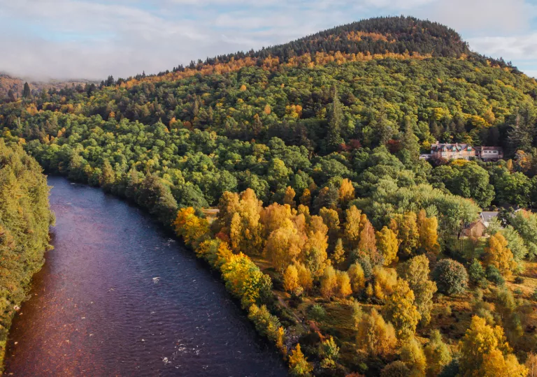 purple river running through green valley