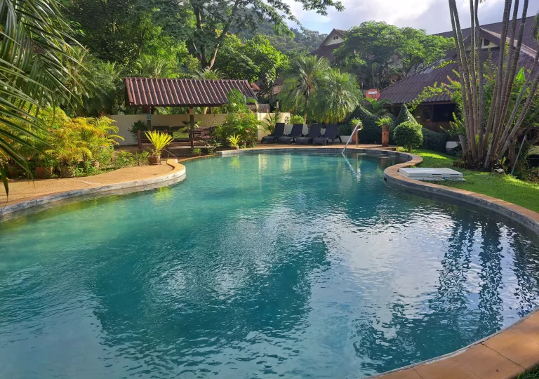 Outdoor pool surrounded by tall plants and trees and a hotel building in the background