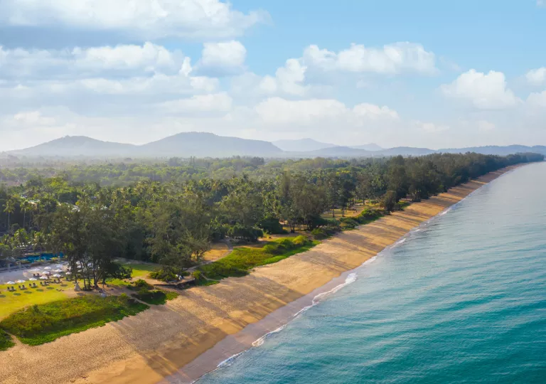 Beach next to a row or trees along the sand