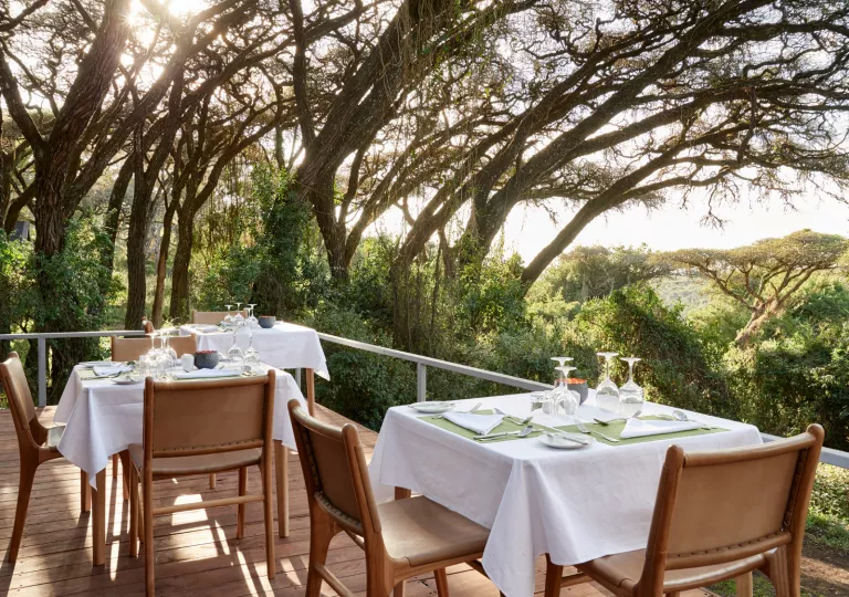 dining tables on a patio