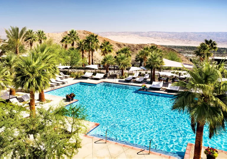 Outdoor pool surrounded by palm trees and mountains