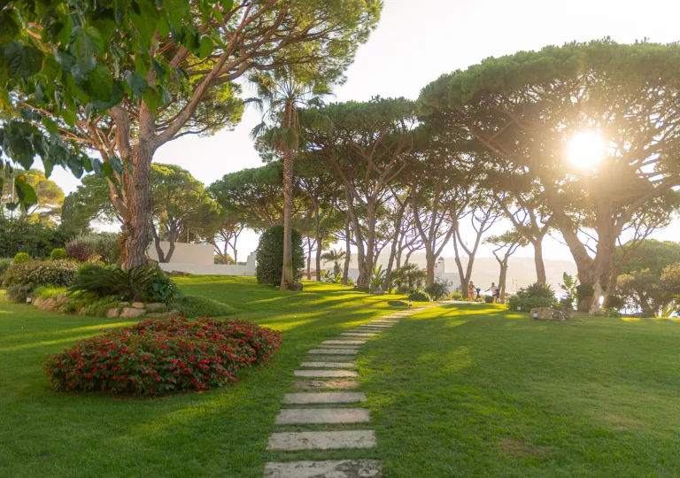 Outdoor, grass area, surrounded by trees with a stone pathway