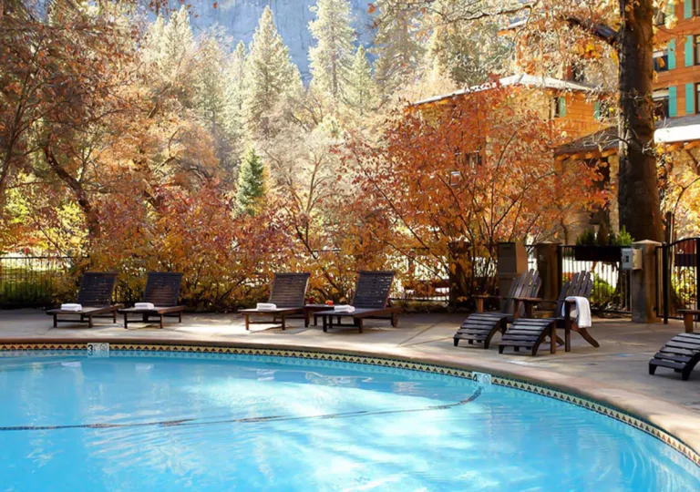 Outdoor pool, surrounded by orange trees and black reclining chairs