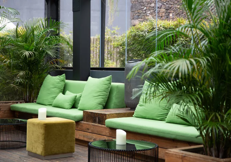 Seating area with green sofas with large windows and plants surrounding