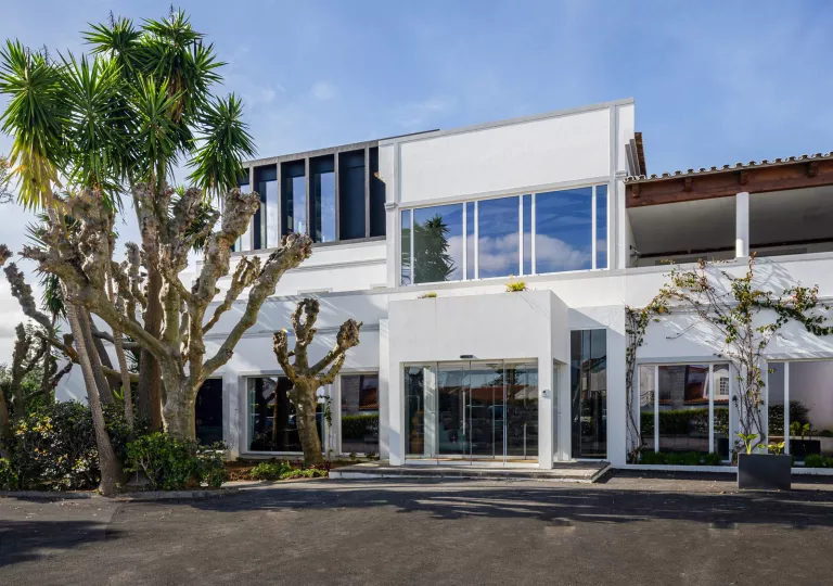 Exterior view of white building with palm trees in front