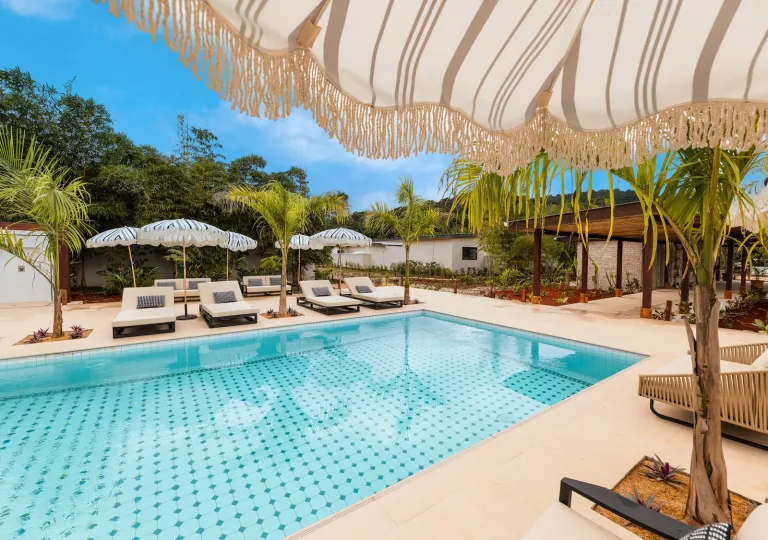 Outdoor pool surrounded by reclining chairs and umbrellas, with tall trees in the background