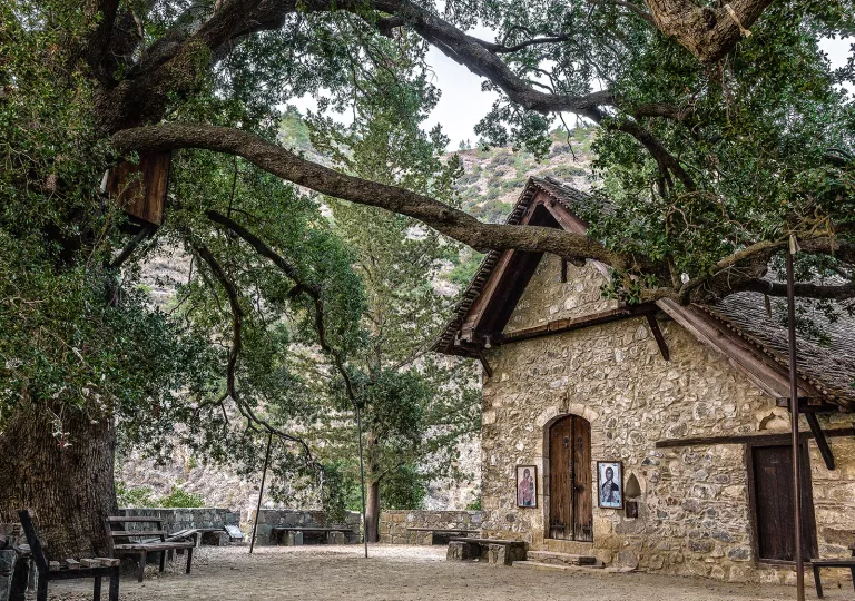 Exterior view of stone cottage building with a large tree in front