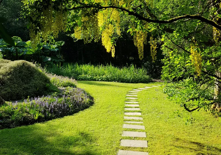 Grass backyard garden with stone pathways and large trees