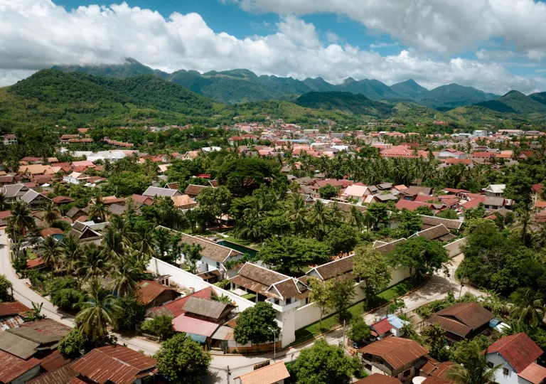 Sky view of town with tall trees within