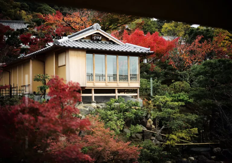 Japanese building surrounded by red trees