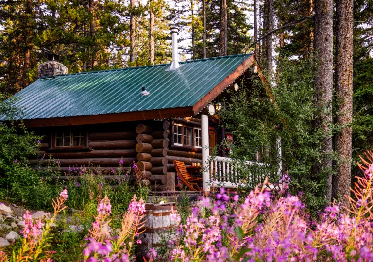 Wooden cabin building in the middle of a forest, with pink flowers in front