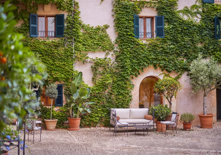 Exterior view of beige, stone building covered in leaves, with potted plants in front