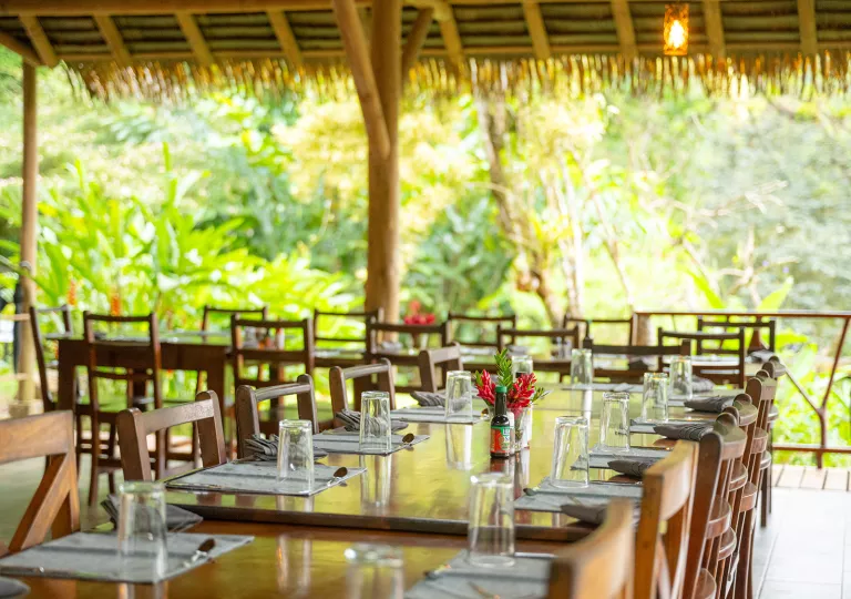 Outdoor dining table with glasses on each side, and thick trees in the background