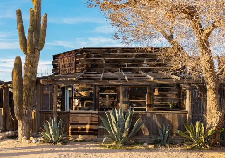 Exterior view of wooden saloon-style building with a large cactus in front
